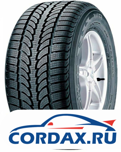 Зимняя шина Nokian Tyres 245/50 R18 WR 104V