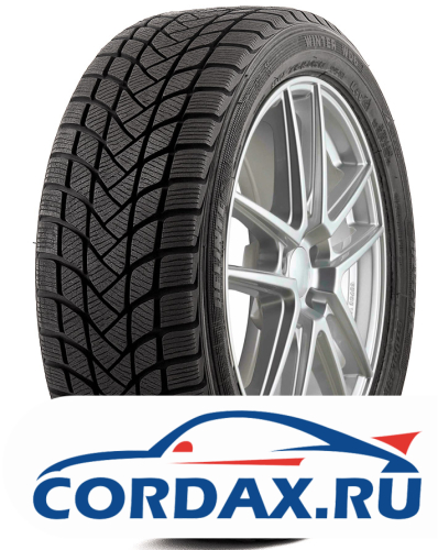 Зимняя шина Delinte 195/55 R16 Winter WD6 87H
