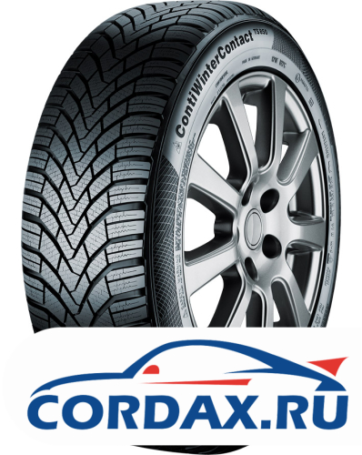 Зимняя шина Continental 165/65 R14 ContiWinterContact TS 850 79T