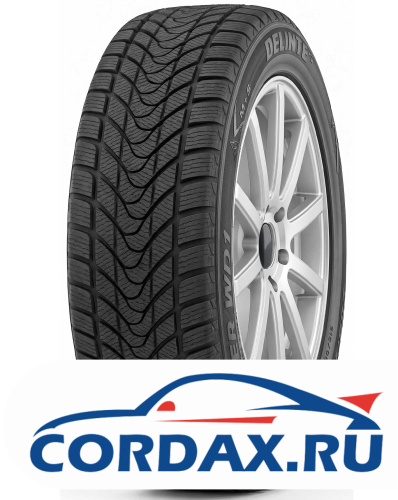 Зимняя шина Delinte 215/60 R16 Winter WD1 99H