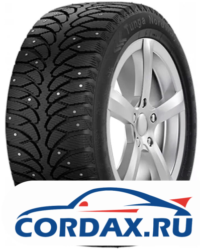 Зимняя шина Tunga 205/60 R16 Nordway 2 96Q Шипы